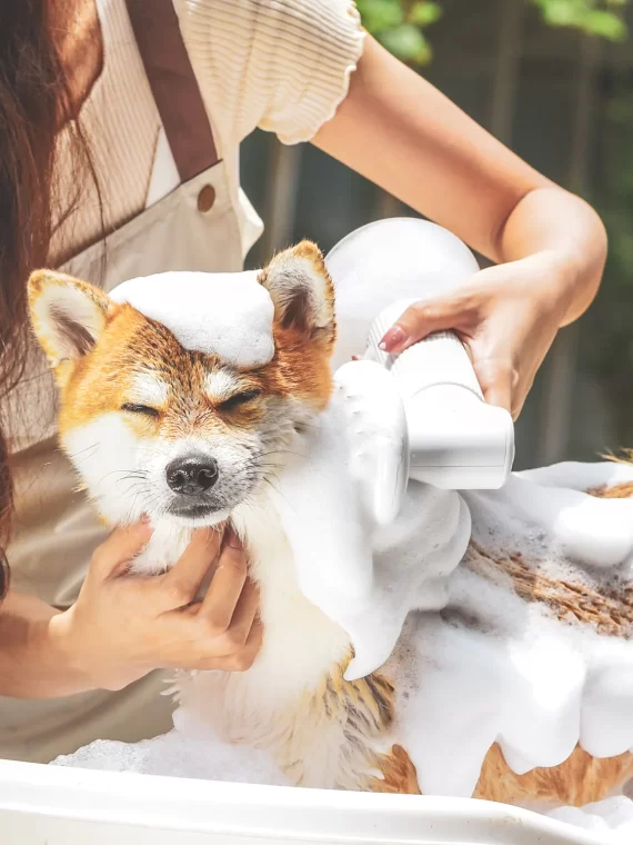 FUR-EVER CLEAN automata habzó szappanadagoló és kisállatfürdető (kutya és cica)