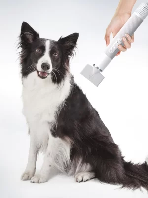 Fluffy-1 nagy sebességű kutya- és macskaszárító