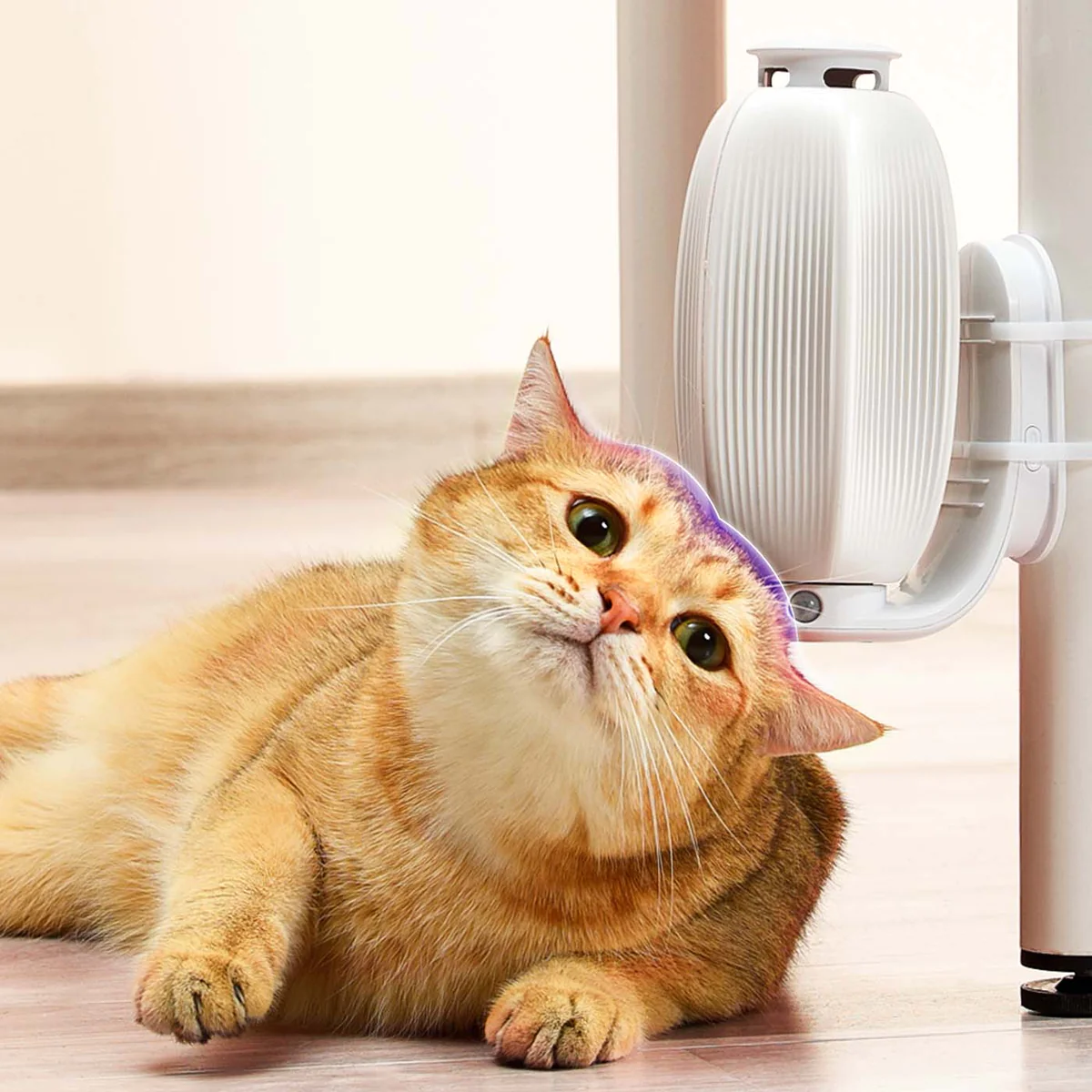 mysmartpet macska cicasimogató szőrzetápoló készülék