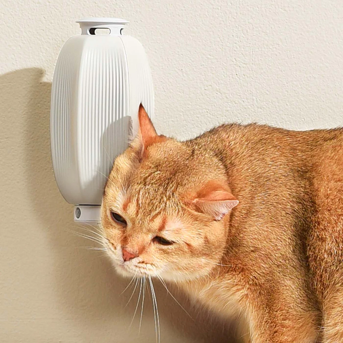 mysmartpet macska cicasimogató szőrzetápoló készülék